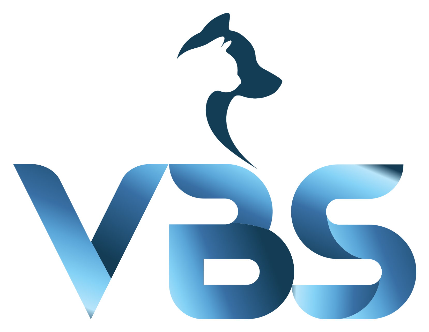 شرکت ویهان بهار سورنا | VBS